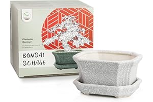 ‎HAPPYSEED HappySeed Bonsai Schale Keramik (klein) mit Untersetzer in Grau - Bonsai Topf eckig für die perfekte Inszenierung Ihres Zimmerbonsais - 11 x 6,5 x 9 cm