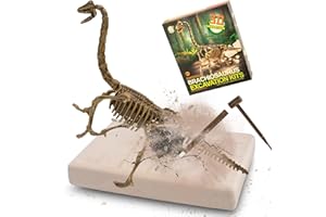 MUSCCCM Brachiosaurus Ausgrabungsset für Kinder, Dino Spielzeug, 3D-Skelett Dinosaur Modell Dino Ausgrabungsset, Dino Party Kindergeburtstag Spiele, Dino Geschenk Mitgebsel Kindergeburtstag Junge