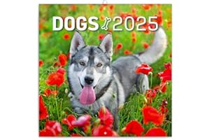 NOTIQUE Calendrier mural chien 2025 - Calendrier brochure avec calendrier mensuel - Calendrier brochure - Calendrier animaux - 30 x 30 cm (30 x 60 cm ouvert)