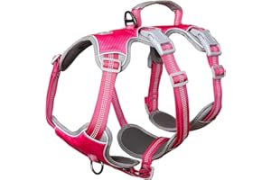 Huntboo Imbracatura senza fuga, Pettorina cane taglia piccola, Imbracatura riflettente con maniglia imbottita, Traspirante, Gilet regolabile per cani di piccola taglia per passeggiat (Rosso rosa, S)