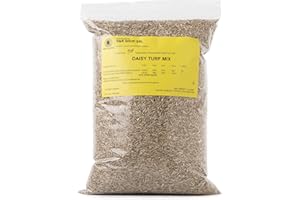 R&R SHOP Mieszanka murawy białej, szybko rosnąca, podwójna różnorodność stokrotek (500gr -25sqm)