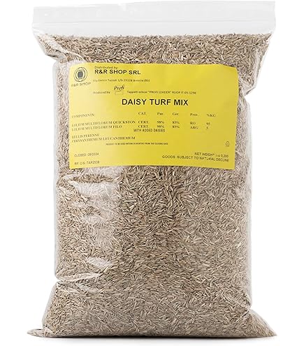 Sementi Prato Evergreen Facile E Veloce Da Kg.1 - Kb | KB | US - Foto 7