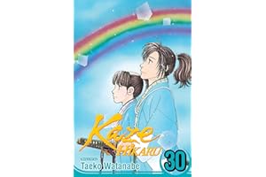 Kaze Hikaru, Vol. 30