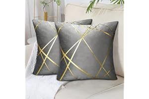 DECORMOMMT Federe Cuscini 50x50 CM Grande Velluto Grigio Copricuscini Decorativi Set di 2 Quadrati Federa Cuscino Divano Geometrica Federe per Soggiorno Camera Letto Auto Decorazione Estate