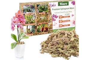 Riare 100g Sphaigne pour Plante Naturelle Compressé Sphaigne pour Orchidées Mélange pour Pot - pour la Culture de Plantes à la Maison,Fée Jardins (100g)