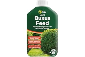 VITAX LTD Vitax Buxus Liquid Feed 1Litre - Concentrated up tp 225 Litrs of feed. For healthy, green buxus plants