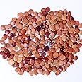 RK Seeds- Gliricidia Seed - (Gliricidia sepium seeds) Gliricidia Seed - (Gliricidia sepium seeds),gliricidia tree seeds,gliricidia, fodder seeds, Live fencing tree seeds- Pack of 100 g