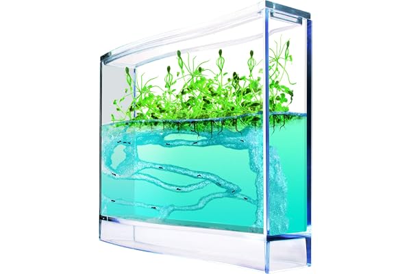 Antquarium - 6146661 - Jeu Éducatif - Super Foret de Fourmis