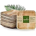 Signature Packaging - Disposable Palm Leaf Plates - Sturdy, Medium Square Plates - 15cm, 25 Pack