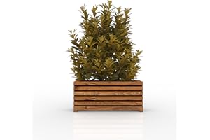 THE HUTCH COMPANY The Sussex Garden Planters (Slatted Tan, 2FT)