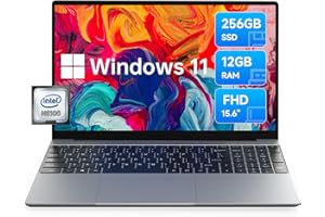 ALLDOCUBE GTBOOK 15 Ordinateur Portable, PC Portable 15,6" FHD IPS, Intel Quad-Core N5100 2.8GHz, Laptop Windows 11 12Go RAM et 256Go SSD, 10000mAh, Mini HDMI, Bluetooth 5.0, 2.4GHz/5GHz WiFi, QWERTY