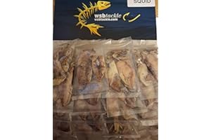 FFT PRESERVED SEA COURSE BAIT RAG WORM SQUID SAND EEL MACKEREL WHITE BAIT BLACK LUG BEACH BOAT PIKE FISHING