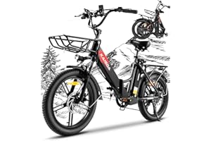 KAISDA Bicicletta Elettrica Pieghevole 20 Pollici,Doppia Batteria 36V20.8Ah, 45-90KM Autonomia,Leggera 33KG, bici elettrica donna IPX Impermeabile per Neve e Città, Fat Tire 3.0 Pollici, 7 Velocità