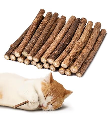 Chocolademelk-sticks 2 x 30 gram aanbieding bij Action