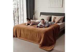 Bedding Aid Couverture imperméable pour très Grand lit – Couverture en Flanelle imperméable pour très Grand lit – Couverture réversible imperméable Double Face (228,6 x 274,3 cm, Beige/Bleu)