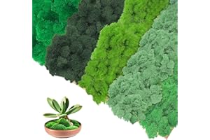 Ryvera 200g Musgo Artificial para Manualidades y Decoración, 5 Colores, Musgo Artificial para Cuadros de Musgo, Paredes de Decoración y Proyectos DIY