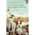 Lo strano viaggio di un oggetto smarrito