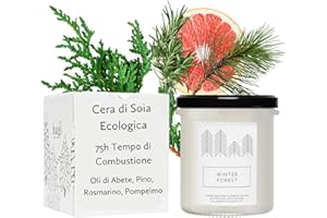 Hagi Winter Forest Candela Di Soia, Tempo Di Combustione Circa 75 Ore, Profumo Di Bosco Di Conifere, Olio Di Abete E Olio Di Pino, Cera Di Soia Ecologica Vegana
