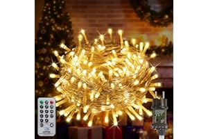 FairyGlim Weihnachtslichterkette mit Fernbedienung-10M 100 LED für Wasserdichte Outdoor Lichterkette mit 8 Modi. Ideal für Gärten, Partys, Terrassen und Balkon festliche Deko (warmweiß)