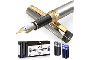Dryden Designs Fountain Pen Medium Nib | 12 Black and 12 Blue ink cartridges with Ink Refill Converter| Smooth Flow, Consistent writing | Left-and Right-Handed | Metallic Silver