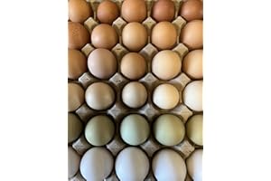 HOME FARM CORNWALL Free to Range Hen Eggs (8)