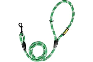 AVANZONA Correa de Entrenamiento clásica para Perros, Cuerda de Nylon, Fabricada en España, para Perros pequeños, medianos y Grandes. 120CM. Verde con Blanco