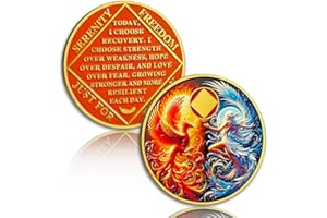 ATSKNSK Affirmation Sobriety Coin, Phoenix Rising Addiction Recovery AA NA Chips Medallion with Token Capsule, Narcotics Anonymous Sober Anniversary Milestones, Sobriety Gifts for Men Women