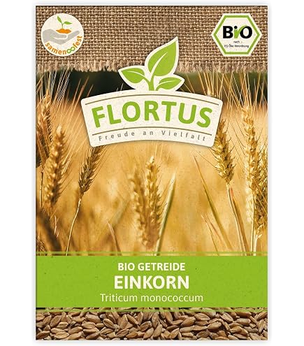 Samenliebe BIO Buchweizen Samen  Grndnger & Bienenweide, Samenfestes BIO  Saatgut 15g