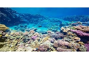 MIRRORANG 61x41cm Acquario Sfondo Barriera Corallina Pesce Tropicale Sottomarino Acquario Poster Sfondo Vinile Sfondo
