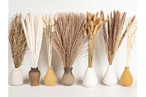 VORTIX 128-teiliges Pampas-Set, Boho-Dekoration, getrocknete Blumen, Pampasgras, perfekt für DIY Vase, Esstisch, Schlafzimmer, Wohnzimmer, Badezimmer und Wandkunst