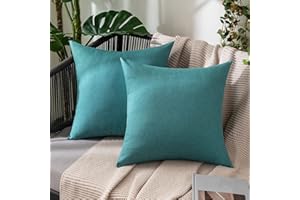 MIULEE Funda Cojines Exterior Impermeable de Lino Fundas de Almohadas Suave de Sofá Almohadas Decorativas para Salón Cama Silla Habitacion Oficina Dormitorio Lumbar 60x60 cm 2 Piezas Azul Claro