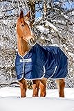 Bucas Freedom Turnout Pony Light Blanket – Navy/Silver