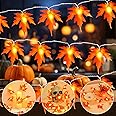 Gcstnn Autumn Decorations Fairy Lights, 3M 20LED Maple Leaves String Lights Battery Operated with Timer,Artificial Maple Leaf Autumn Garland for Halloween Theme Party,Carnival,Porch,Window,Fall Decor