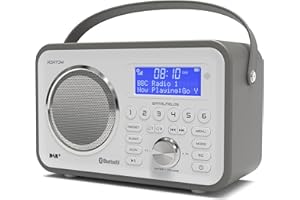 DAB/DAB+ & FM Portable Digital Radio | Leather Design | Bluetooth | Rechargeable Battery | Dual Alarms & Sleep Timer | Perfect for Home, Office or Outdoors | AZATOM Spitalfields 2 (Grey)