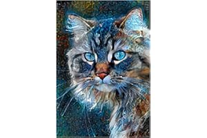 EOBROMD Chat Diamond Painting, 5D Diamond Painting Kits Complet Adulte Broderie Diamant Peinture Animaux Diamant Painting Kits Complet Rond Perles Diamond Painting Complet (Maine Cat 30x40cm)