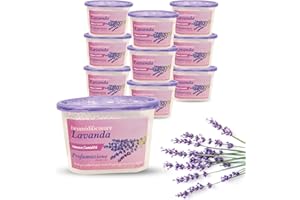 DETERMONDO Deumidificatore Profumato 500 ml Lavanda per Armadi Bagno e Ambienti Umidi Antimuffa e Assorbi Umidità a Lunga Durata 10pz