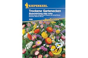 Kiepenkerl Profi-Line Blumensamen-Mischung Trockene Gartenecken 3368 - robuste Sorte - pflegeleichte Pflanzen - Höhe ca. 60 cm. - Saatgut, Blumenwiese Samen
