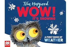 Wow! It's Snowing: A First Book of Weather