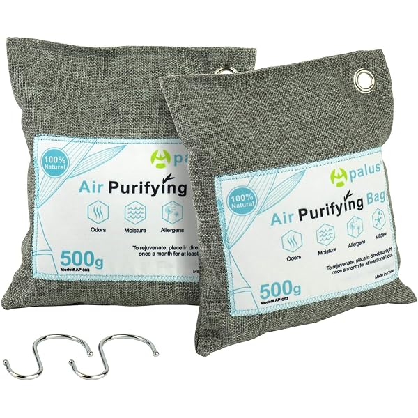 2 Sacs Purificateurs Air Charbon Bambou 100g - Absorbe Odeurs Et Humidité - Écologique Et Réutilisable