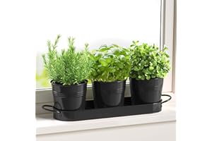 FGXY Negro Jardín de Hierbas para Interiores, Maceta de jardín de Hierbas para Interior/Exterior, macetas de Granja, Kit de jardín de Hierbas para alféizar de Ventana con Bandeja, macetas de Ventana