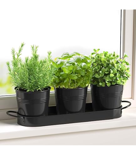 Set 3 Vasi Per Piante In Metallo Con Vassoio Antigoccia – Fioriera Da Davanzale Per Erbe Aromatiche, Verde, 10,5x10 Cm