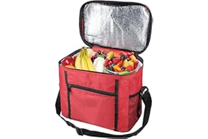 DEHUA Insulated Lunch Bag,Foldable Picnic Bag Beach Cooler Bag,Portable Cooling Bag Picnic Cool Bag with Adjustable Shoulder Strap,for Picnic, Hiking, Beach, Outdoor