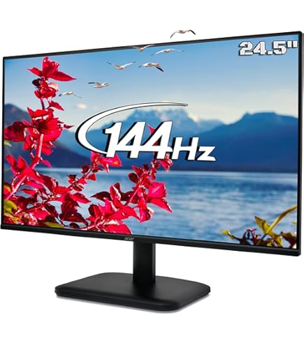 Dell 24