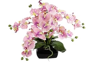 Flair Flower Orchidea con Foglie e Radici d'Aria, in Ciotola in Ceramica, Fiore Artificiale Phalaenopsis con Vaso di Fiori Artificiali per Matrimonio, Decorazione di Seta realistica, Fiore Rosa