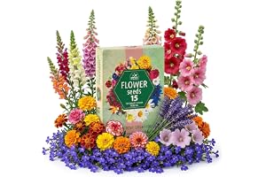 Nojus - Blomfröset - 15 Paket - Ekologiska Trädgårdsblomfrön - Färgglada Växtfrön - Vildblomsfrön - 15 Sorters Blommor - Perf