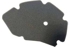SEBA.RICAMBI Filtro Aria Spugna Scatola Aria per Scooter Dna/Runner Vx - Vxr / X9 X9 Amalfi 125-180 cc