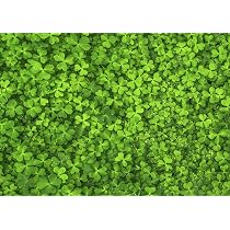 1000-Teile Puzzle 'Find The Four-Leaf Clover' – Ultra Schwer, 66x50 Cm, Grüne Gras-Herausforderung