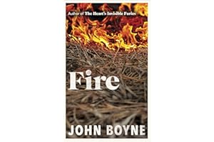 Fire: The powerful and compelling new novel from the bestselling author of The Heart's Invisible Furies (The elements, 3)