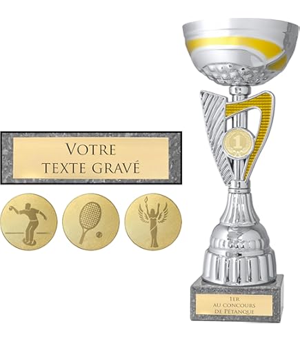 SilverTrophy: Trophée étoile Argentée Et Dorée 2ème Place, Médaille En