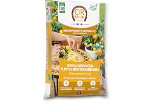 Or Brun Terreau Agrumes & Plantes Méditerranéennes - Oliviers Palmiers & Cycas - Utilisable en Agriculture Biologique OBRTAGR6U
